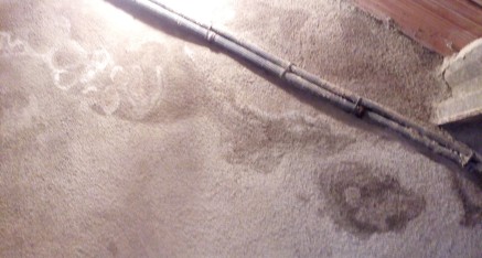 Filtracions en un sòtan - Abans